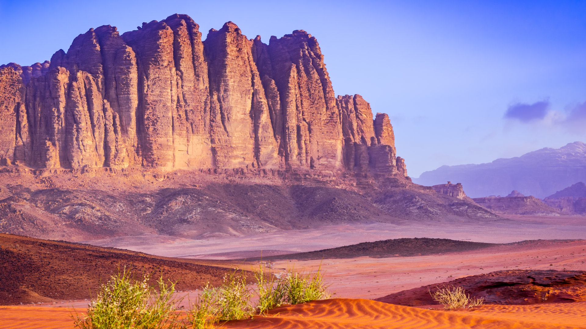 Wadi Rum au printemps – formations rocheuses et végétation du désert jordanien