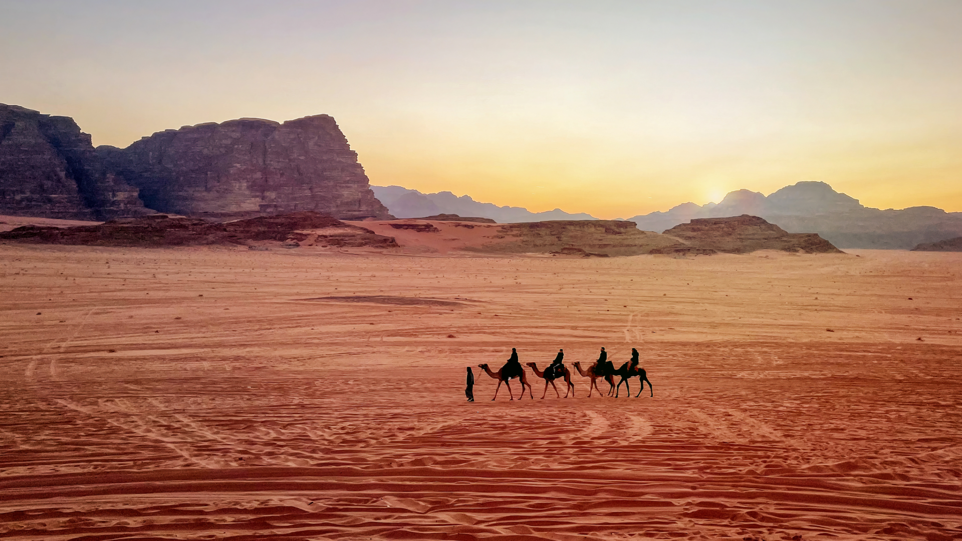 Caravane de chameaux au coucher de soleil à Wadi Rum Jordanie