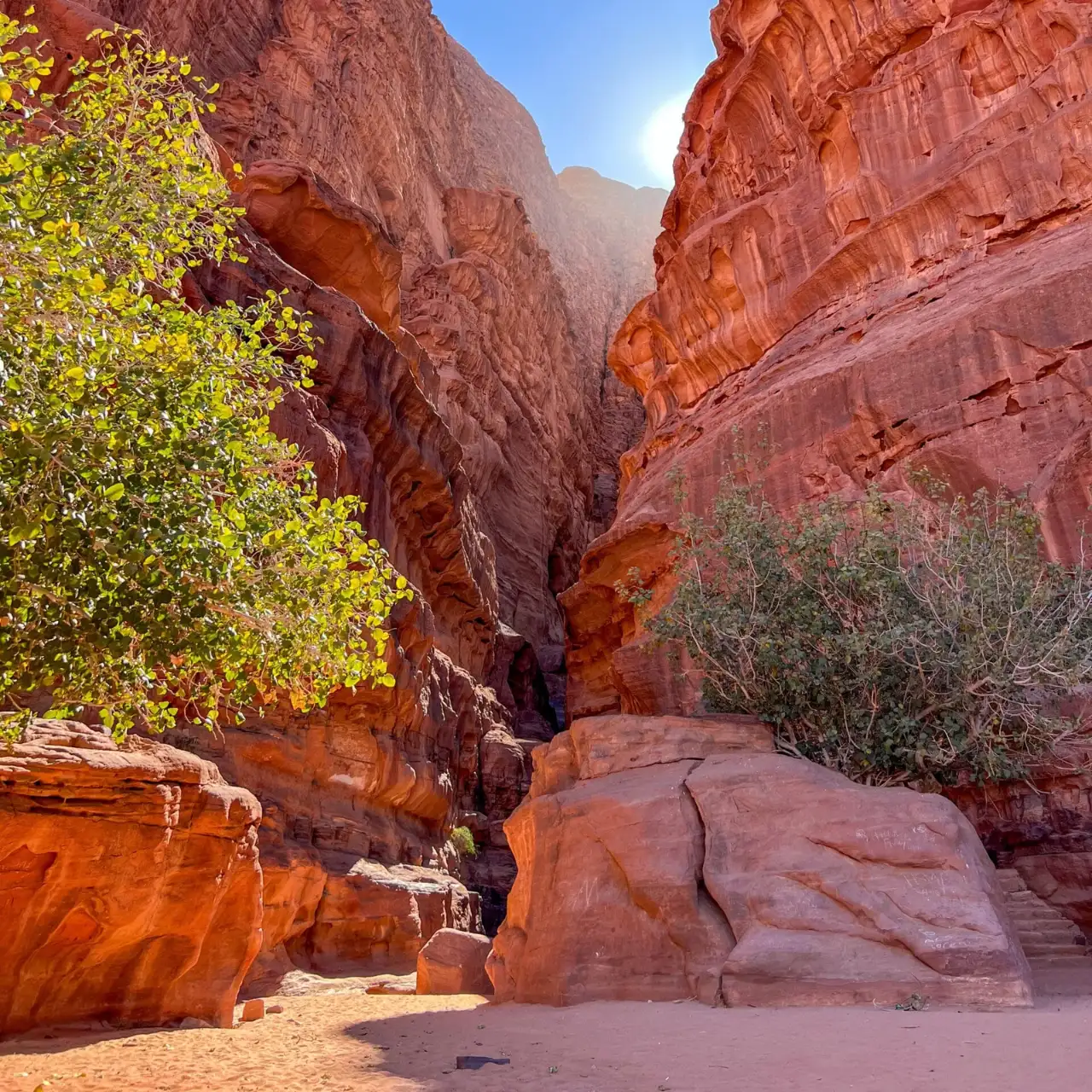 Canyon de grès à Wadi Rum