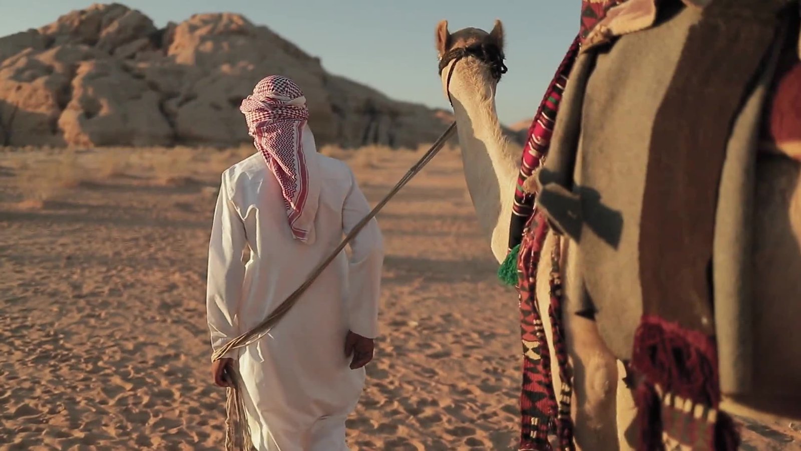 Guide bédouin et son chameau dans le désert de Wadi Rum