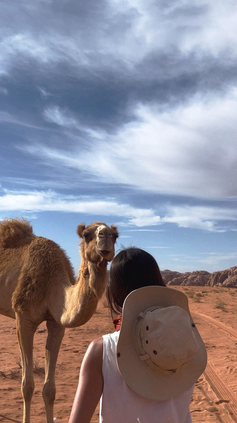 Voyageuse face à un chameau dans le désert