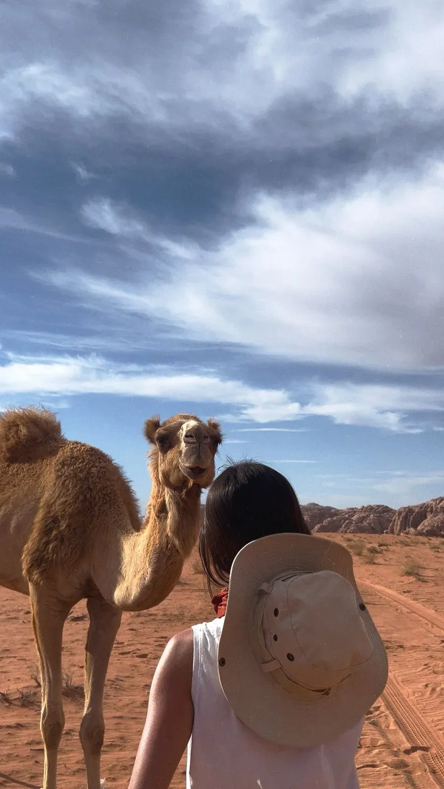 Voyageuse face à un chameau dans le désert